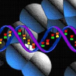 重大发现 科学家发现生物性别开关 雌雄转换如此简单