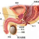 探索前列腺快感的真实快感